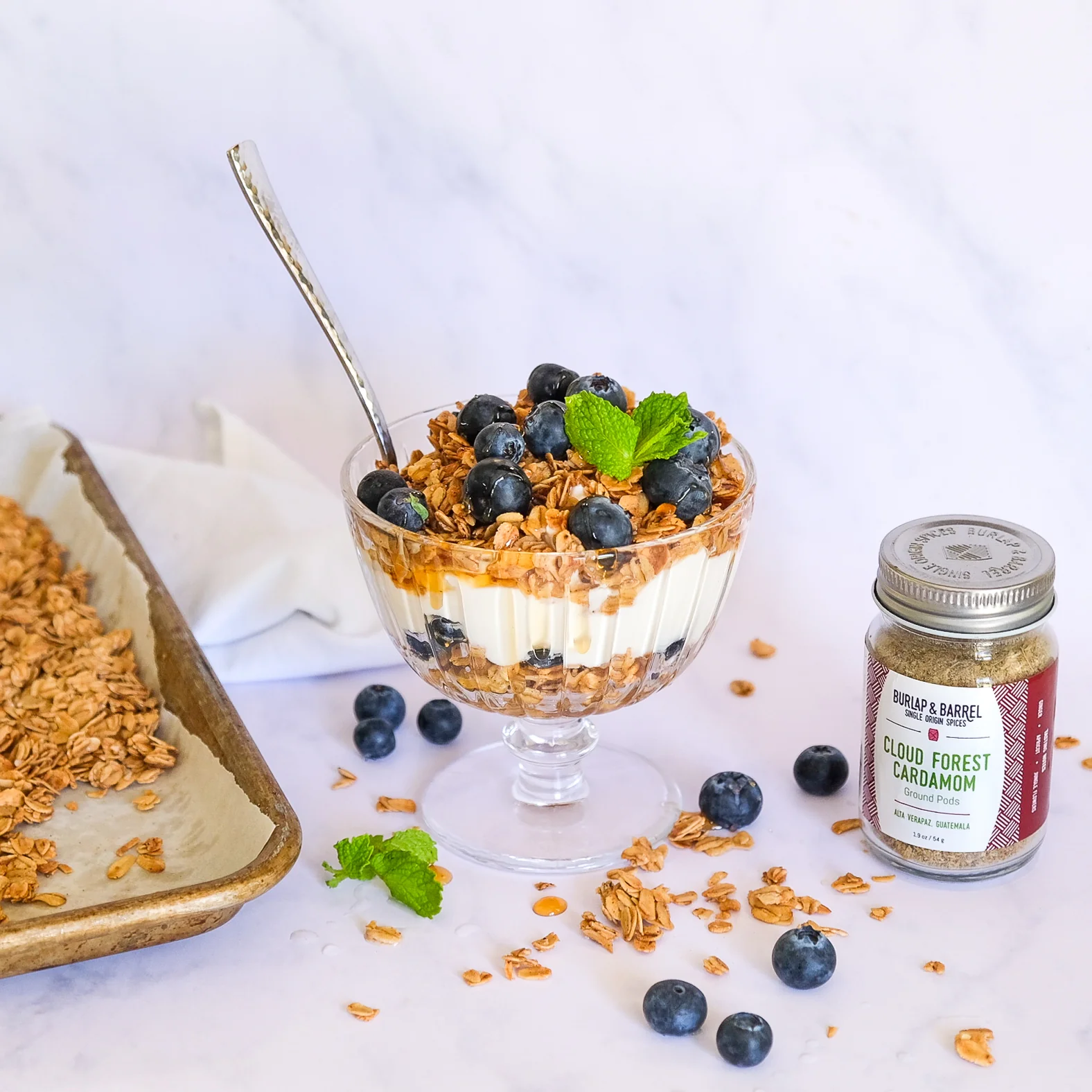 Ground Cloud Forest Cardamom - Image 3