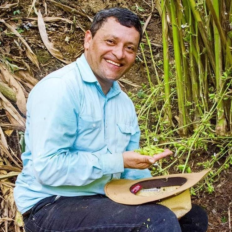 Ground Cloud Forest Cardamom - Image 5