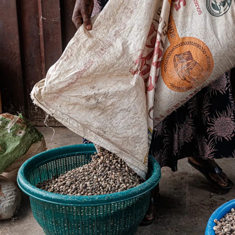 Iru (Fermented Locust Beans) - Image 6