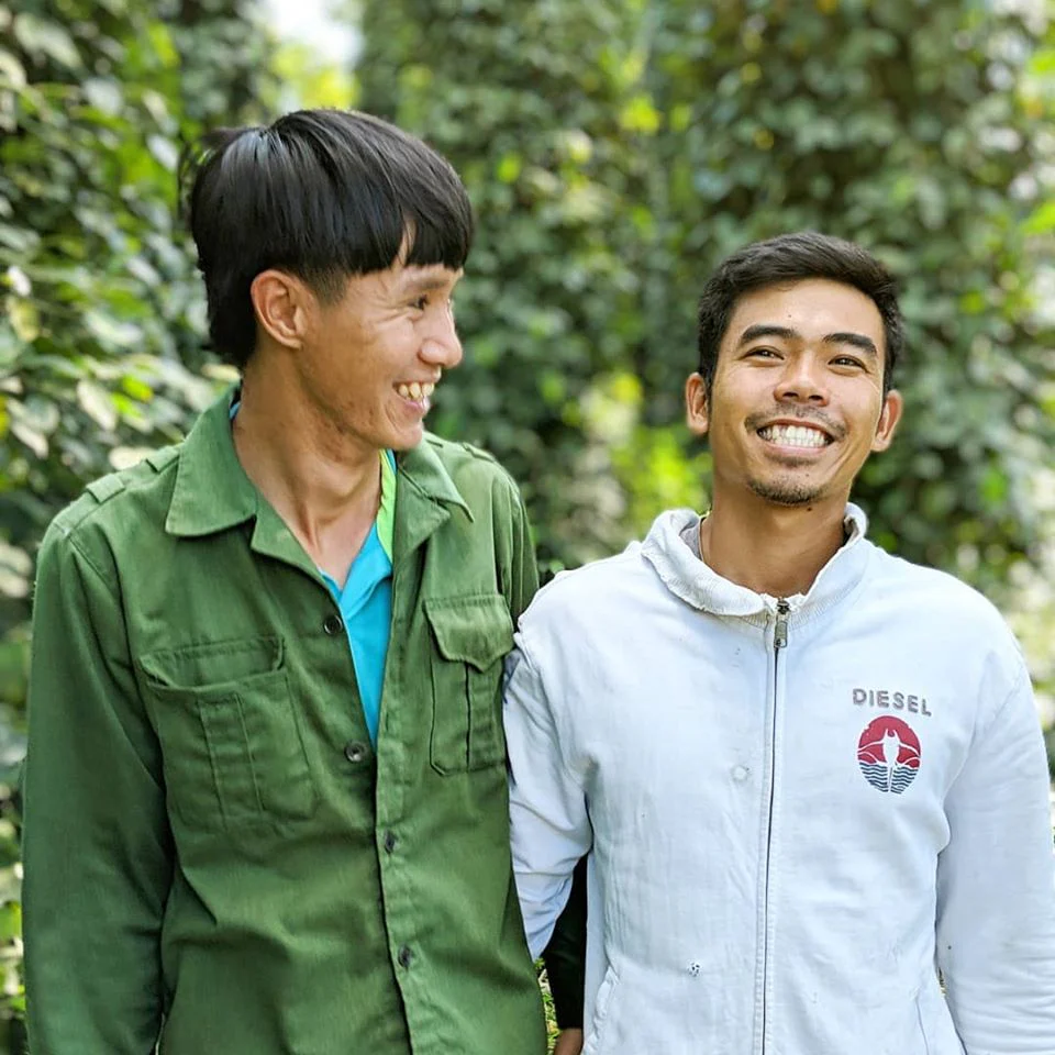 Robusta Black Peppercorns - Image 4